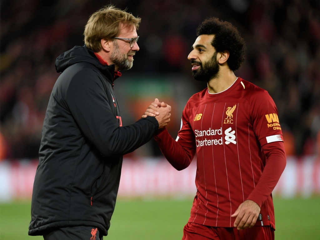 归队后需要 归队后需要